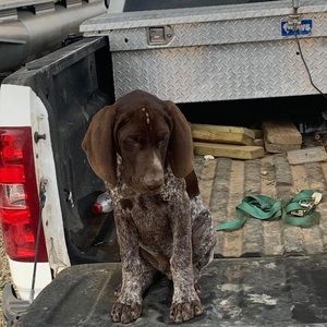 Meet your Posher, Rody